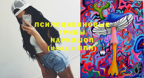 бутират Богородицк