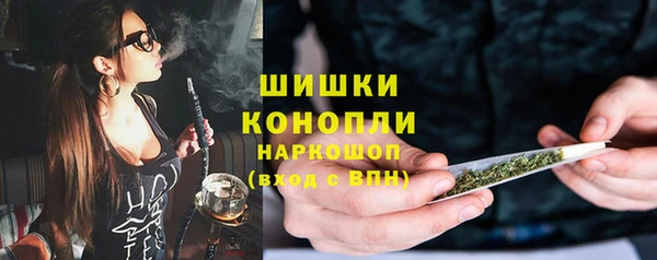 гашик Богданович