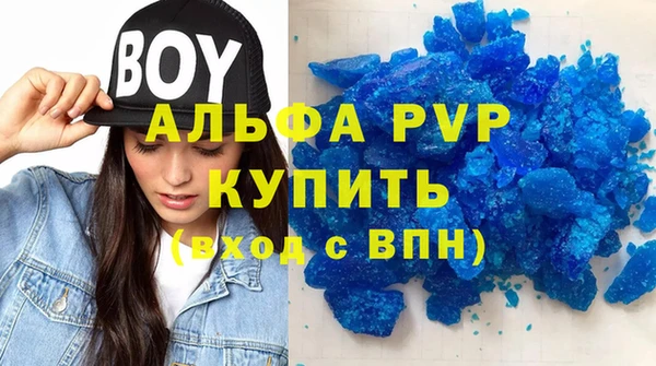 гашик Богданович