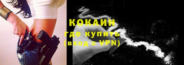 гашик Богданович