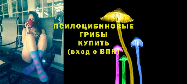 экстази Богородск