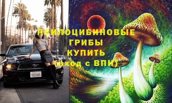 бутират Богородицк