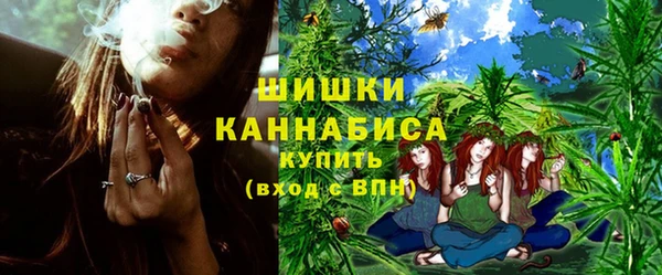 гашик Богданович