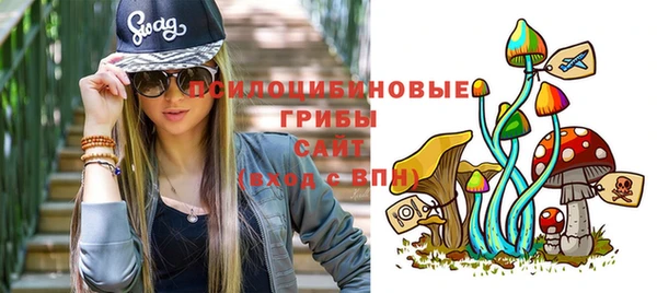 гашик Богданович