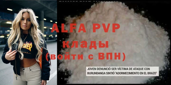 гашик Богданович