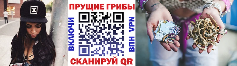 Галлюциногенные грибы Magic Shrooms  Михайлов 